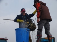 오빈낚시터 유료낚시터 > ****조황 매우 좋습니다**** : 낚시사랑