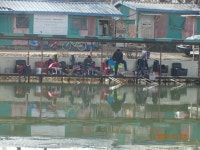 오빈낚시터 유료낚시터 > ****조황 좋습니다**** : 낚시사랑