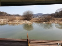 내곡지 유료낚시터 > 내곡지 조황정보 : 낚시사랑