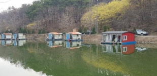 양평수곡낚시터 유료낚시터 > 수곡낚시터 주중조황 및 수상좌대할인, 기념품증정 연장 : 낚시사랑