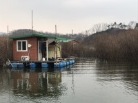 고삼지 양촌 유료낚시터 > 고삼지양촌좌대 두번째 사짜붕어 : 낚시사랑