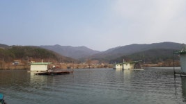 어우실지 유료낚시터 > 전주에 이어서 주말도 만석을 메위주신 조사님 감사합니다 좌대마다 드쑥날쑥했읍니다 송사장님 좌대땜시 ,,죄송합니다... 