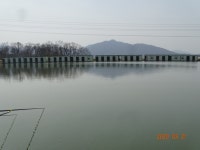 오빈낚시터 유료낚시터 > ****현재 고른조황 보이고 있습니다**** : 낚시사랑