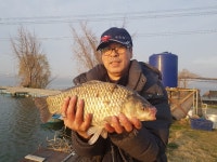 토종계양낚시터 유료낚시터 > ♥## 토종 44.5cm ~!! 대물 ~!! ##♥ : 낚시사랑