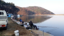 큰골낚시터 유료낚시터 > 조황정보 입니다~~~ : 낚시사랑