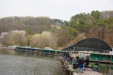 용인지곡낚시공원 유료낚시터 > ◐ 개장날 초대박 조과 ◐ : 낚시사랑