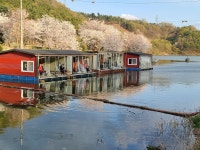 양평수곡낚시터 유료낚시터 > 힐링 양평 수곡낚시터 일요일 조황 및 토종붕어 방류 안내 : 낚시사랑