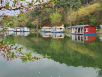 양평수곡낚시터 유료낚시터 > 힐링 양평 수곡낚시터 주중,주말 조황 및 붕어방류 안내 : 낚시사랑