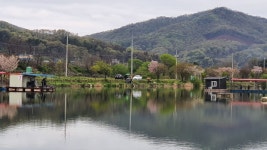 삼성지낚시터 유료낚시터 > 자리 편차가 심한 하루였습니다 : 낚시사랑