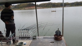 삼성지낚시터 유료낚시터 > 자리 편차가 심한 하루였습니다 : 낚시사랑