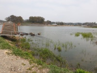 내곡지 유료낚시터 > 내곡지 조황정보 : 낚시사랑