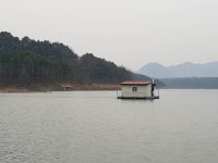 제일낚시터 유료낚시터 > 충주댐 제일낚시터 조황정보 : 낚시사랑