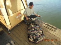 오빈낚시터 유료낚시터 > ****조황 아주좋습니다**** : 낚시사랑