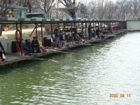 오빈낚시터 유료낚시터 > ****조황 아주좋습니다**** : 낚시사랑