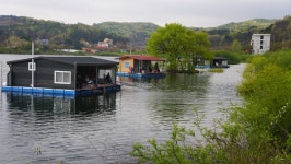 용설지 유료낚시터 > 강풍에 날라간 떡밥 : 낚시사랑