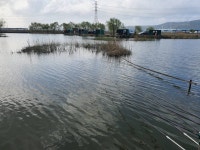 노진낚시터 유료낚시터 > ★★★ 노진낚시터 / 토종 잡이터 / 조황 소식입니다 ★★★★ : 낚시사랑