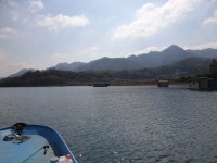 제일낚시터 유료낚시터 > 충주호 제일낚시터 조황정보 2020_04_26 : 낚시사랑