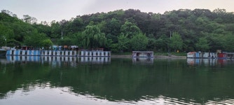 양평수곡낚시터 유료낚시터 > 수곡낚시터 사과글 드리며 금일붕어방류, 주중조황 올립니다 : 낚시사랑