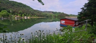 양평수곡낚시터 유료낚시터 > 수곡낚시터 주중조황 편차는 있으나 고르게 나오네요 : 낚시사랑