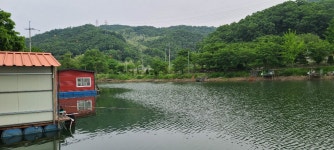 양평수곡낚시터 유료낚시터 > 수곡낚시터 주중조황 편차는 있으나 고르게 나오네요 : 낚시사랑