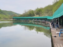 파주금곡낚시터 유료낚시터 > *대박행진* 파주 대물금곡낚시터 : 낚시사랑