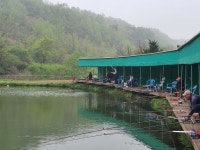 파주금곡낚시터 유료낚시터 > *대박행진* 파주 대물금곡낚시터 : 낚시사랑