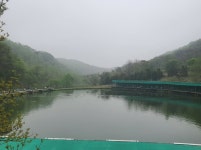 파주금곡낚시터 유료낚시터 > *대박행진* 파주 대물금곡낚시터 : 낚시사랑