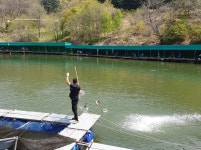 파주금곡낚시터 유료낚시터 > *대박행진* 파주 대물금곡낚시터 : 낚시사랑