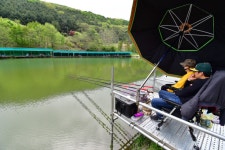 파주금곡낚시터 유료낚시터 > *대박행진* 파주 대물금곡낚시터 : 낚시사랑