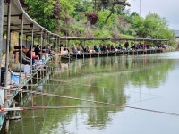 서곡 유료낚시터 > 5월 중순인데도 입질이 예전 같지는 않지만, 조황은 많이 좋아지는게 보입니다 : 낚시사랑