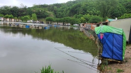 즐거운복상골 유료낚시터 > 장어 방류 시작합니다~~~ : 낚시사랑