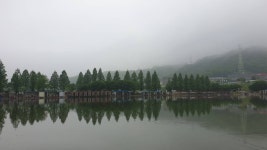 안성 거청낚시터 유료낚시터 > 배수없는 거청낚시터 5월 17일 붕어조황 : 낚시사랑