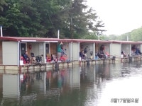 동교낚시터 유료낚시터 > 포천동교낚시터입니다 : 낚시사랑