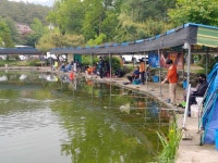 우금낚시공원 유료낚시터 > 주말조황안내 : 낚시사랑