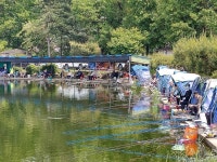 우금낚시공원 유료낚시터 > 주말조황안내 : 낚시사랑