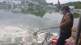 안성 거청낚시터 유료낚시터 > 배수없는 거청낚시터 5월 22일 붕어조황 : 낚시사랑