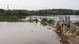 성호낚시터 유료낚시터 > 4짜부터 월척허리급 마릿수 대박조황. : 낚시사랑