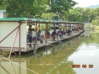 오빈낚시터 유료낚시터 > ****폭발적인 조황보이고 있습니다**** : 낚시사랑