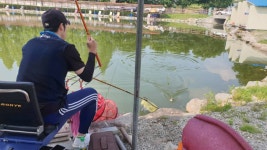 안성 거청낚시터 유료낚시터 > 배수없는 거청낚시터 5월 29일 붕어조황 : 낚시사랑