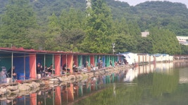 안성 거청낚시터 유료낚시터 > 배수없는 거청낚시터 5월 31일 붕어조황 : 낚시사랑 안성 거청낚시터 유료낚시터 > 배수없는  거청낚시터  5월... 