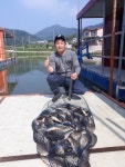 용대리낚시터 유료낚시터 > 100수 잔치가~~벌어졌습니다!!!! : 낚시사랑