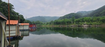 양평수곡낚시터 유료낚시터 > 양평 수곡낚시터 주중 100수 대박조황이 또 나와주네요 금일 붕어방류 완료 : 낚시사랑