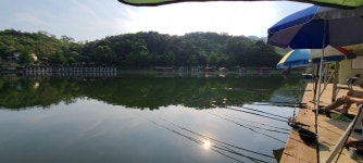 양평수곡낚시터 유료낚시터 > 피서낚시 힐링 수곡낚시터 주초 월요일 조황 및 금일 붕어 방류 : 낚시사랑