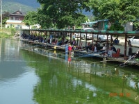 오빈낚시터 유료낚시터 > ****꾸준한 조황 보이고 있습니다**** : 낚시사랑