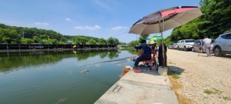 당골낚시터 유료낚시터 > ~~~조황정보~~~ : 낚시사랑