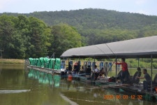 고담낚시터 유료낚시터 > 요번주 금. 토 수입붕어 100% 방류 : 낚시사랑