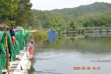 고담낚시터 유료낚시터 > 말이 필요없는 조황입니다 . : 낚시사랑