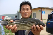 내동지 유료낚시터 > *** 토종 46.7cm *** : 낚시사랑
