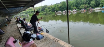 당골낚시터 유료낚시터 > ~~~조황정보~~~ : 낚시사랑