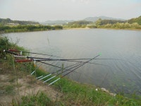 성호낚시터 유료낚시터 > 오늘도 월척으로 스타트. : 낚시사랑